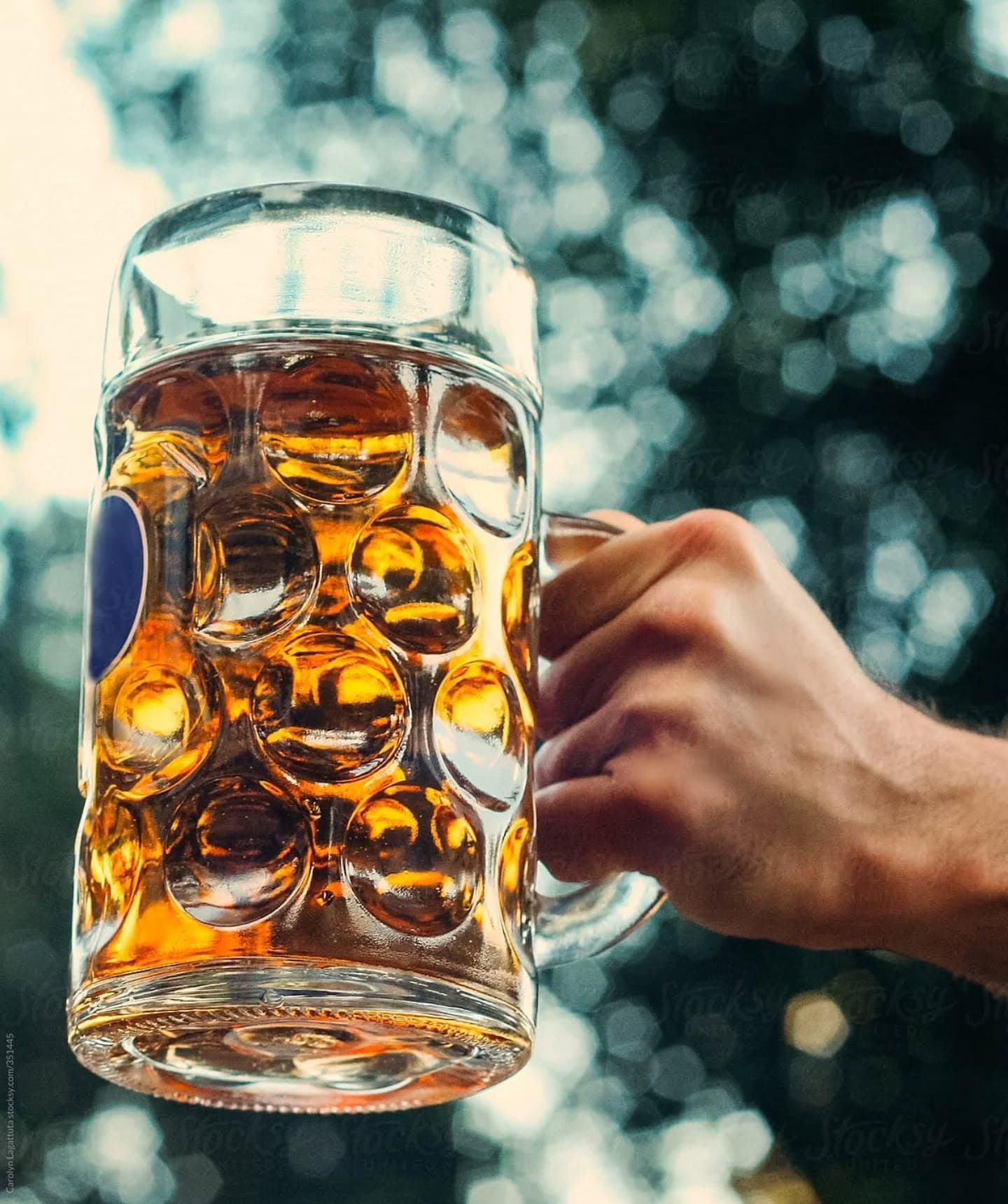 Brewery Vivant Stein Night