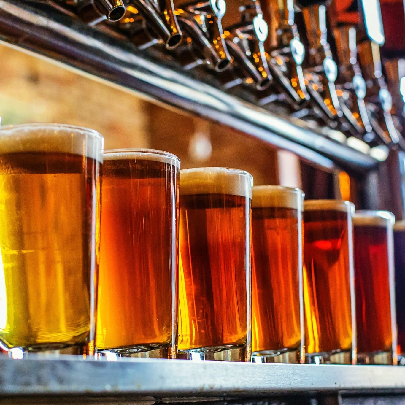 Bobs Brewery Happy Hour
